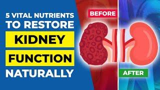 5 Vital Nutrients to Restore Kidney Function Naturally