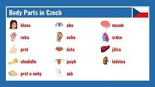 Body Parts in Czech