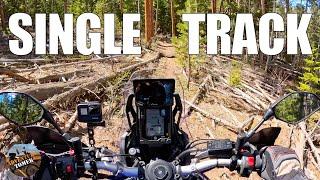 Testing the Tenere 700 on Single Track