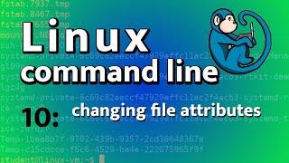 LCL 10 - changing file attributes - Linux Command Line tutorial for forensics