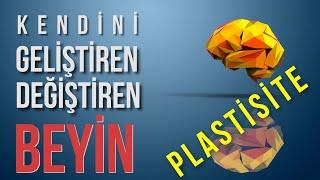 PLASTİSİTE ( Gelişen ve Değişen Beyin) - Beynin İşlevleri - Prof. Dr. Niyazi ACER