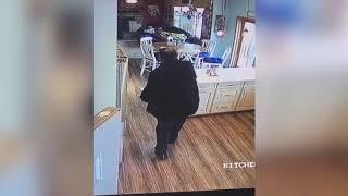 Purse thief suspect caught on camera