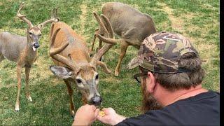 HAND FEEDING DEER!! PENNSYLVANIA TRIP!!