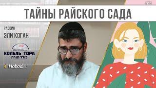 Тайны райского сада: 13. И Б-г создал женщину