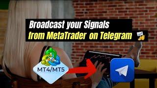 MT4 and MT5 for Telegram Signals| The best tool for translate your signals in Telegram