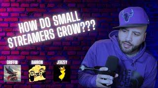 HOW DO SMALL STREAMERS GROW??? [ The Streamer Showcase ]