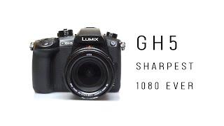 Is The GH5 The King of 1080P?