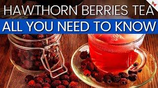 All You Need to Know About Hawthorn Berries Tea | Hawthorn Berry Tea Benefits