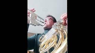 Universal Pictures Studio - Opening Theme (Horn, Trumpet)