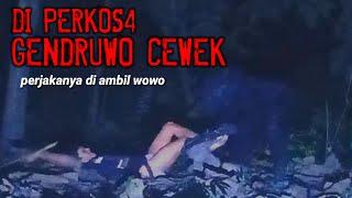 DI PERK0SA GENDRUWO CEWEK