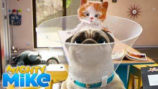 MIGHTY MIKE  The cone of shame  Episode 05 - Full Episode - Cartoon Animation for Kids