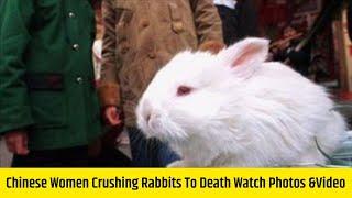 Chinese Women Crushing Rabbits To Death | Watch Photos &Video Of Crush Rabbit Sequel Leaked Video