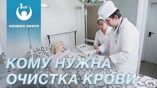 Кому показан плазмаферез (очистка крови) от вирусов и болезней. Клиника Genesis Dnepr