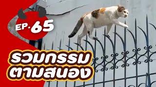 รวม 5 บุคคลกรรมตามสนอง EP.65