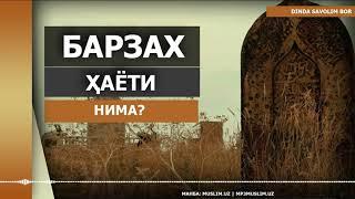 БАРЗАХ НИМА? | BARZAX NIMA?