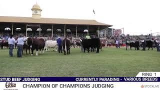 Ekka 2024 Parade of Champions