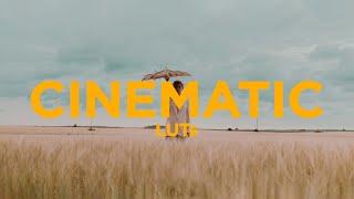 30 Cinematic LUTs | Premium Edition