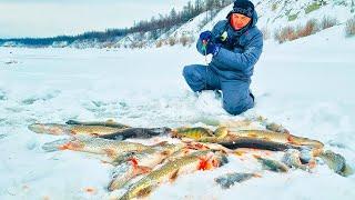 РЫБА СОШЛА С УМА!! Попал НА ЩУЧЬЮ ТРОПУ , просто БЕШЕНЫЙ КЛЁВ! Рыбалка в ЯКУТИИ