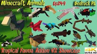 Tropical Fauna Addon V2 Showcase Lizards Birds Minecraft Bedrock PE Minecraft Animals Ep249