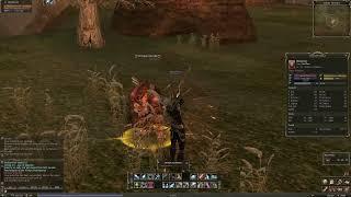 Lineage 2 Classic x3 Dark Elf Assassin Farming