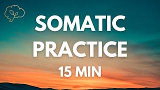 Somatic Exercises for Nervous System Regulation | 15 Min Guided