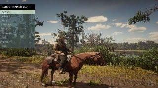 Red Dead Redemption 2 Native Trainer Review