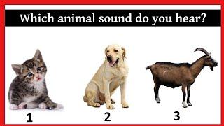 Guess the Animal Sound Game