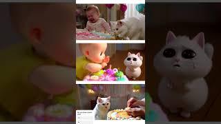 birthday cat and babies are so funny #cat #dog #catlover #funnypuppy #catfunnyvideo #baby #cute