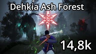 BDO | Succession Ninja | Dehkia Ash Forest | 14,8k yellow ls