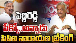 CPI Narayana Sensational Comments : పెద్దిరెడ్డి పీక్కో..అన్నాడు సిపిఐ నారాయణ బ్రేకింగ్ | YS Jagan