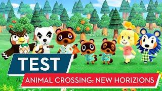 Animal Crossing: New Horizons Test / Review: Reif für die Insel