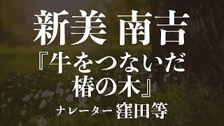 『牛をつないだ椿の木』作：新美南吉　朗読：窪田等　作業用BGMや睡眠導入 おやすみ前 教養にも 本好き 青空文庫