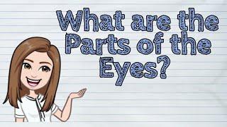 (SCIENCE) What are the Parts of the Eyes? | #iQuestionPH