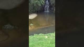 CACHOEIRA no PARQUE de CURITIBA #shorts Meu canal na Real