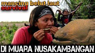 SURVIVAL MANCING BELUT DI MUARA NUSAKAMBANGAN