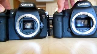 Canon EOS 5D Mark III vs EOS 7D shutter sound and speed