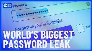 World’s Biggest Password Leak | 10 News First