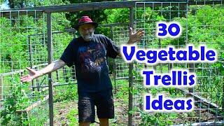 30 Unique Vegetable Trellis Ideas - Produce More Food