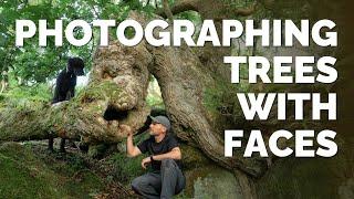 Photographing Trees With Faces