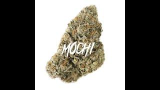 "Mochi" West Coast Mob Music Type Beat Instrumental 2019 Prod By Dank Slaps