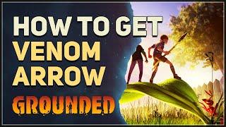 How to get Venom Arrow Grounded