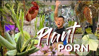 Unbelievable RARE Exotic and DIVERSE Plants🪴 FLOII exhibition Indonesia  | Preview 2024 Trends!