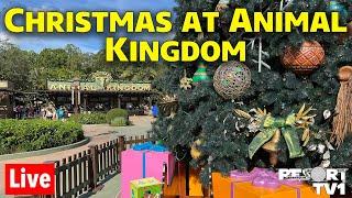 Friday Night Live: Christmas at Animal Kingdom - Walt Disney World Live Stream