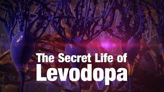 The Secret Life of Levodopa