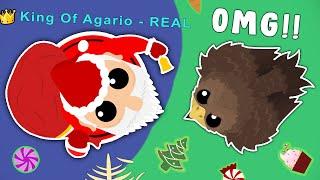 SANTA GIFTED ME ULTRA RARE GOLDEN SHAHBAZ in MOPE.IO // EPIC FUNNY MOMENTS !!