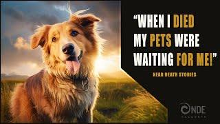 Narrated NDE Pet Stories | Near Death Experience Compilation (NDE)