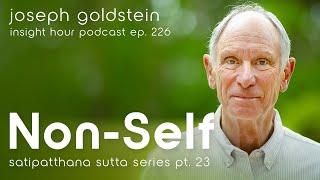 Buddhism & Non-Self with Joseph Goldstein – Insight Hour Ep. 226 – Satipatthana Sutta Series Pt. 23