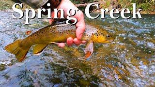 SPRING CREEK Pennsylvania | Fly Fishing Euronymphing The Legendary Central PA Limestone Creek