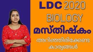 LDC 2020 Important Topic മസ്തിഷ്‌കം | PSC GK Repeated Questions| Previous Questions|PSC GK Malayalam