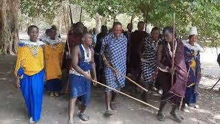 Maasai community in their dancing exercises.